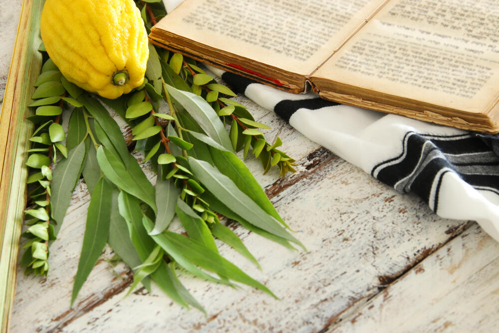 Homiladorlik paytida jinsiy aloqa: tugilishning xabarchilari