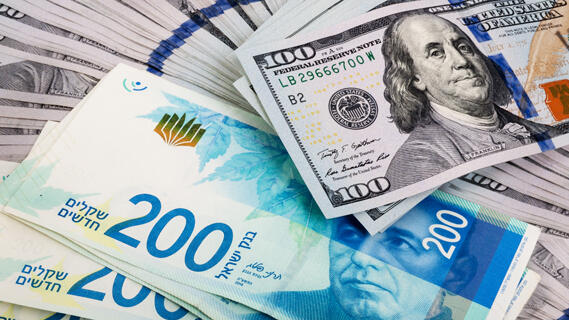 Dollars and shekels (Photo: Shutterstock) דולרים ושקלים