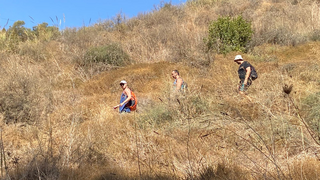 מטיילים בנחל עיון