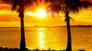 החוף באזור מיאמי