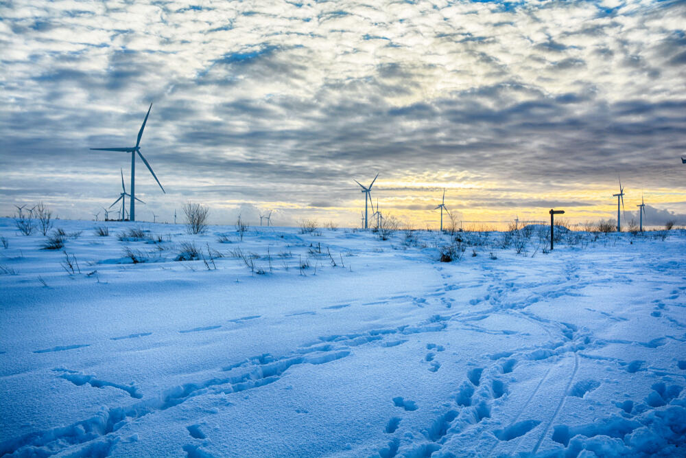 טורבינות רוח בשלג