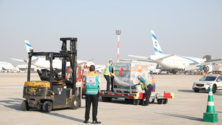 מדולפינים ועד אריות: הסודות של מסוף המטען האווירי