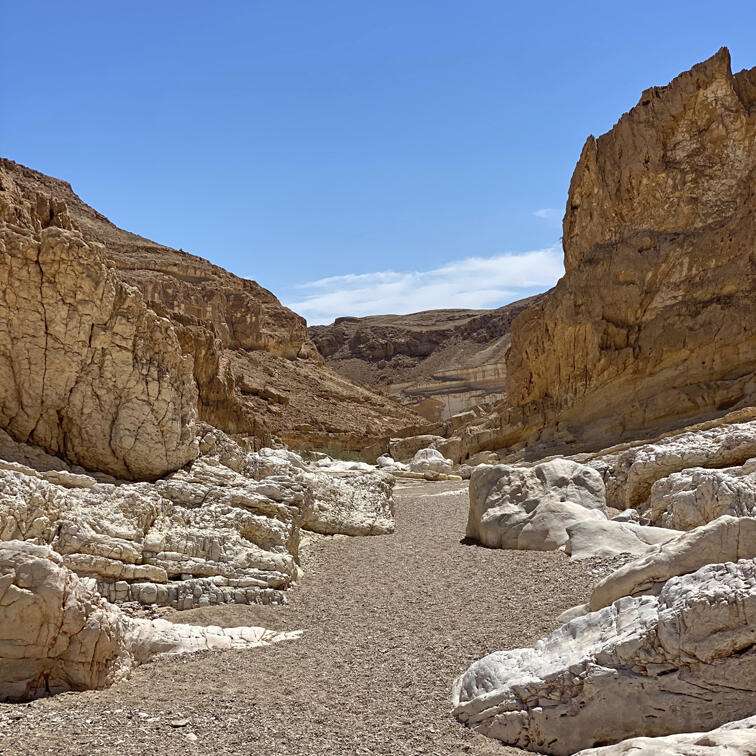 מפגש נחל רמון ונחל נקרות
