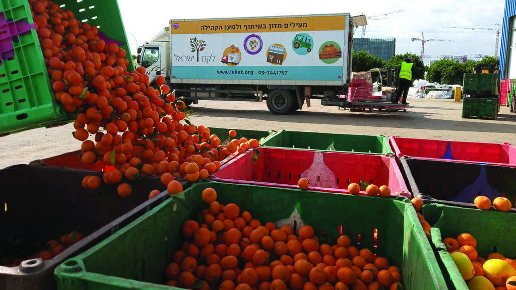 Leket Israel distribution center 
