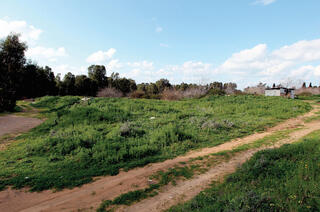קרקע להשקעה למזל תפקיד חשוב ביותר 