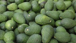 Авокадо