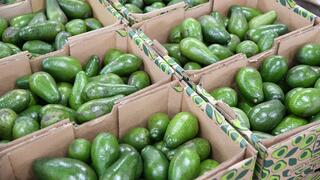 ארגזי אבוקדו