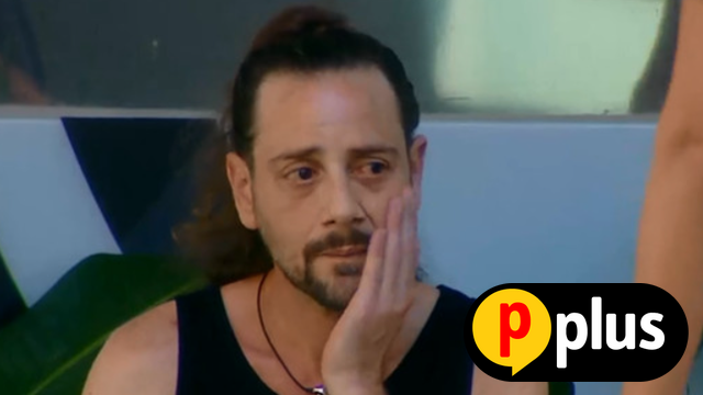 טור דעה