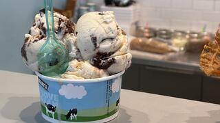 מייסד בן אנד ג'ריס: אייצר גלידה בטעם "פלסטין"