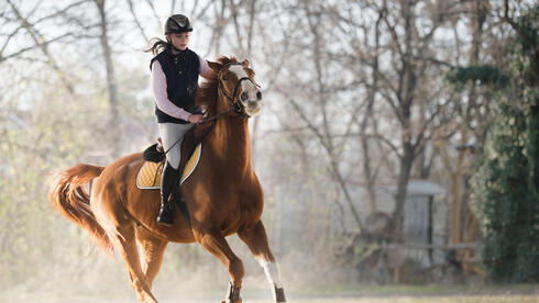 רכיבה על סוסים