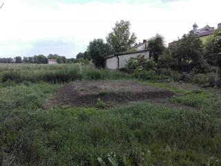 קבר האחים שהתגלה בפולין