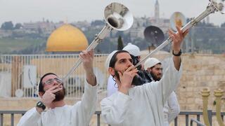 חזרה לטקס קורבן פסח שקיימו נאמני הר הבית ופעילי בית המקדש