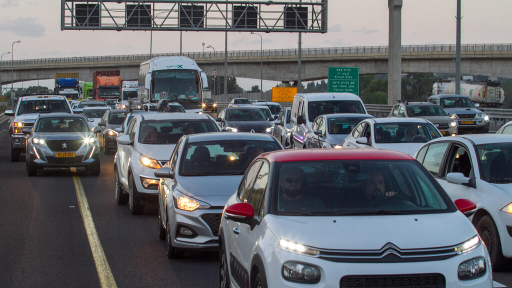 На шоссе № 6 (Фото: Идо Эрез) הפרה מטיילת על הכביש והנהגים תקועים בפקק בכביש 6