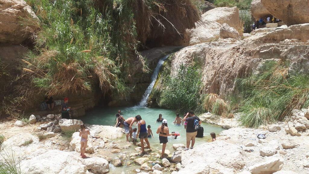 מתרחצים במפל הראשון בנחל דוד