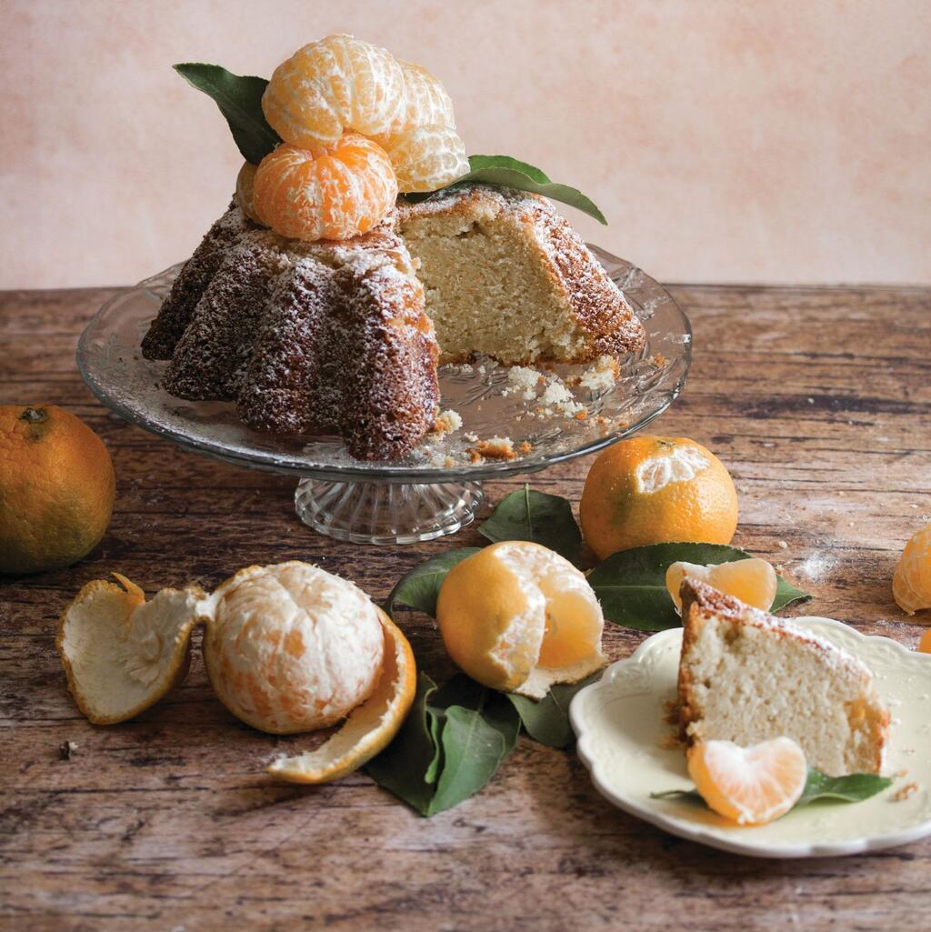 Mandarin cake with a silky texture (Photo and styling: Mili Eliyahu) עוגת מנדרינות בחושה