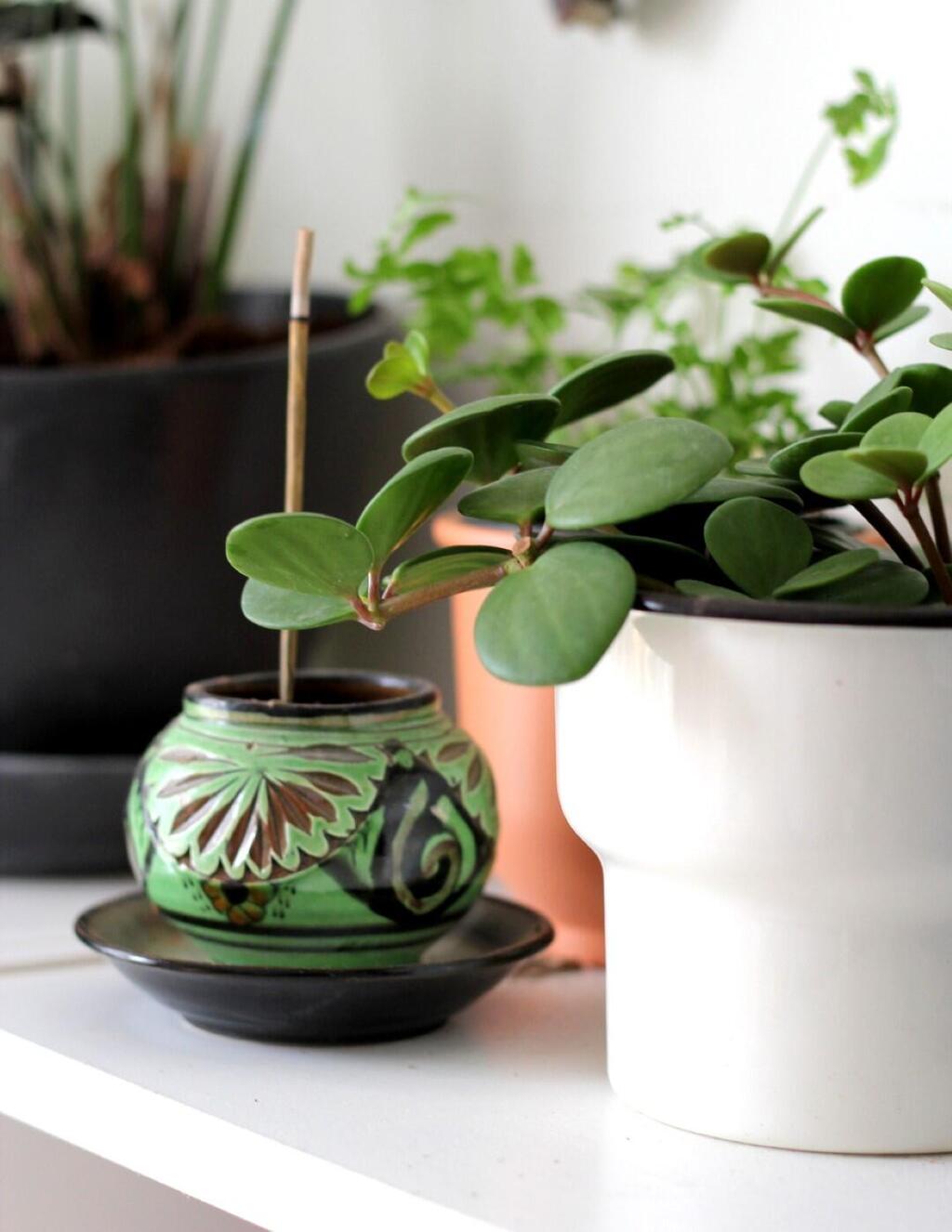 קטורת טבעית עדיפה על מפיצי ריח סינתטיים רוויי כימיקלים