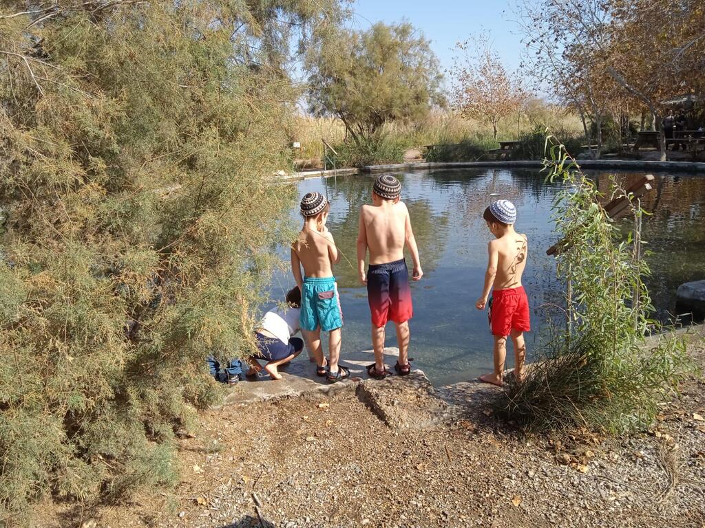 שמורת עינות צוקים