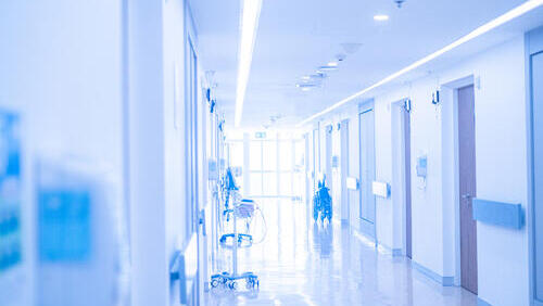 Фото: shutterstock