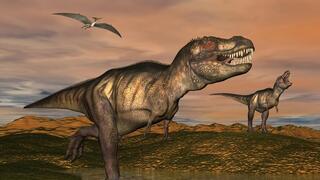 סוגי דינוזאורים שהיו שונים אלה מאלה בסוג הדם שלהם