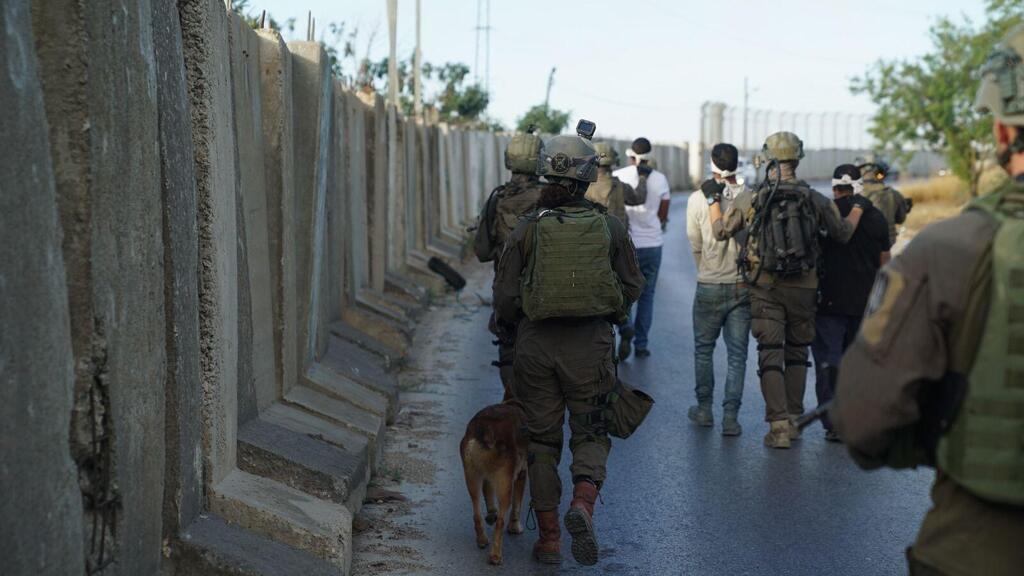 כוחות צה"ל, שב"כ ומג"ב בפעילות מעצרים ביהודה ושומרון