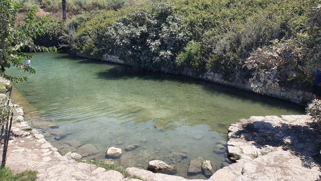 מעיין הסוסים