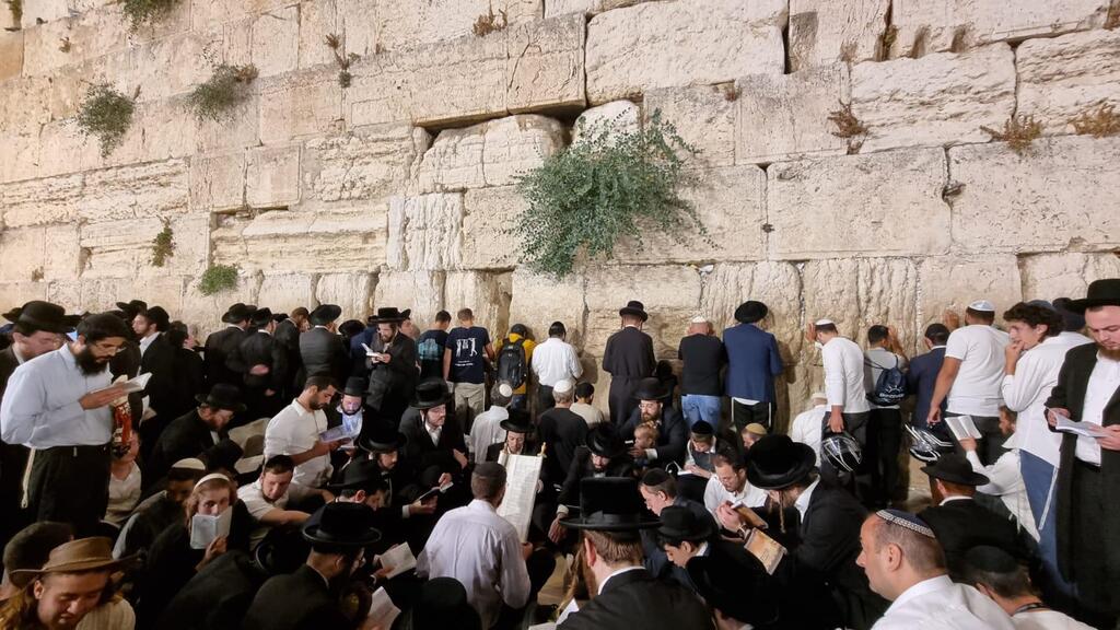 Reading the Book of Lamentations at the Western Wall on Tisha B'Av (Photo: Eli Mandelbaum) מתפללים בכותל בתשעה באב