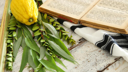 Символы праздника Суккот 