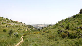 מסלול נחל חלילים