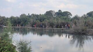 מטיילים בשמורת טבע עין אפק, חול המועד סוכות