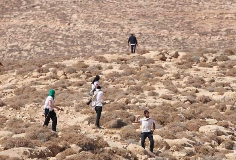Violent clashes between settlers and Palestinians in the West Bank
(Photo: Maavak Al Kol Dunam) עימותים אלימים בין מתנחלים לפלסטינים ביהודה ושומרון