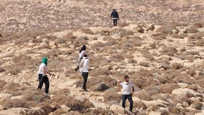 "גזע האדונים הוא אנחנו": אלופים לשעבר נגד המתנחלים הקיצונים, ב"ניו יורק טיימס"