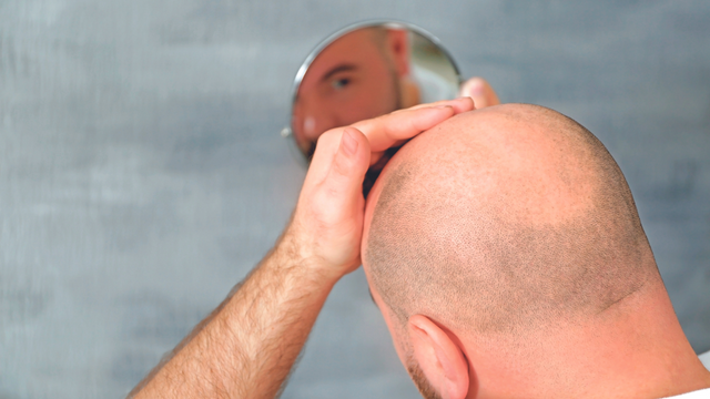 Иллюстрация.