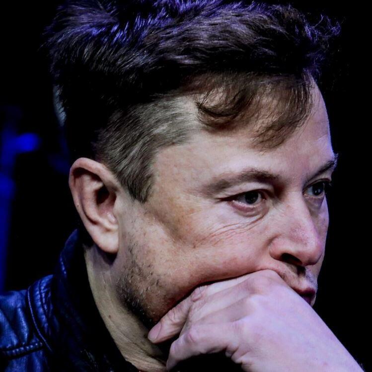 A free-for-all on Twitter since Musk took over