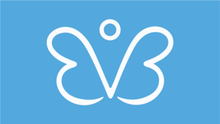  כפתור הפרפר