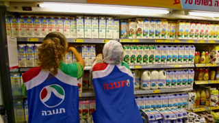 תנובה חלב