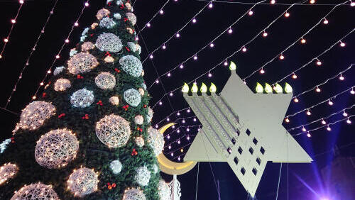 Елка в Хайфе (Фото: shutterstock) Елка в Хайфе