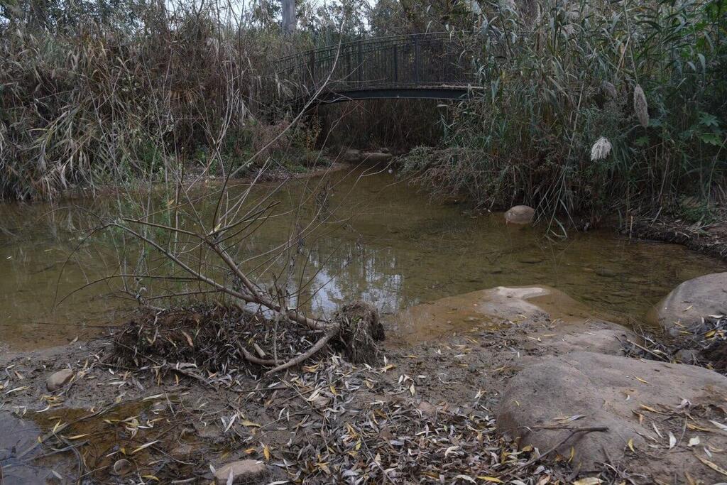 נחל עיון בצפון מתייבש לאחר בצורת גשמים