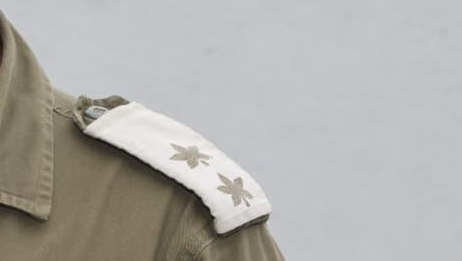 סגן אלוף דרגה מילואים אילוסטרציה