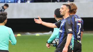 שחקן גמבה אוסקה נטע לביא