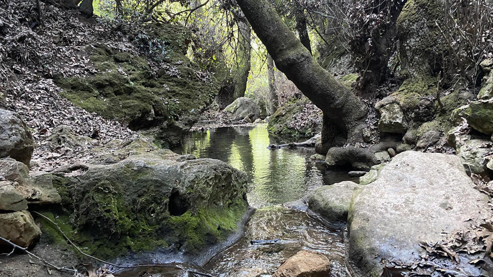 פסטורליה בנחל מירון, במסלול העליון