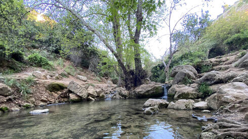 בריכות שכווי בנחל עמוד