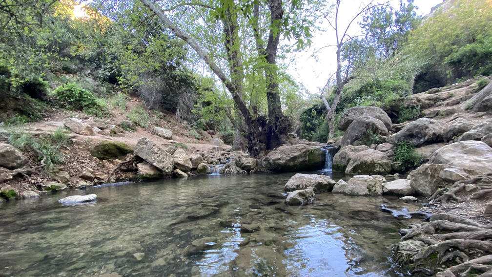 בריכות שכווי בנחל עמוד