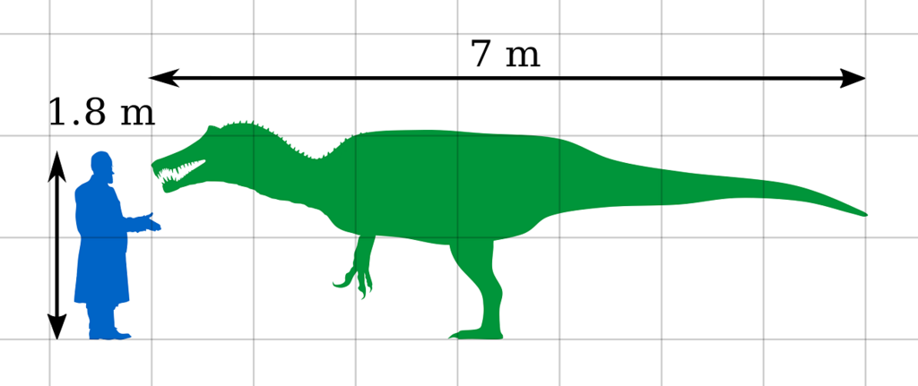 An irritator in comparison to a human (Illustration: Wikipedia) השוואה בין איריטייטור לבן אדם