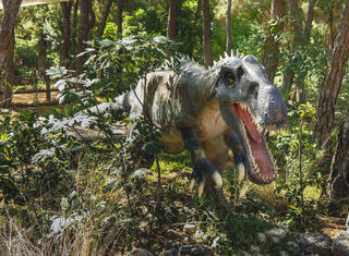 איריטייטור ממין Irritator challengeri