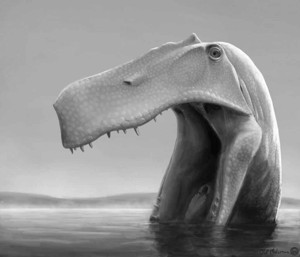 In black and white (Illustration: Olof Moleman) הדינוזאור הטורף Irritator challengeri מחפש מזון