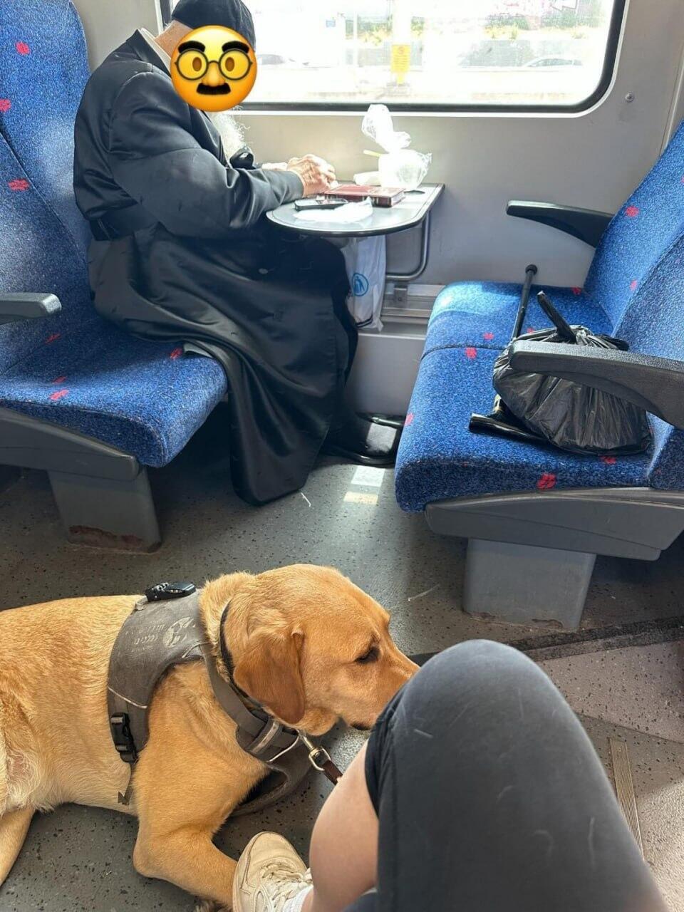 רוני ברכבת מול הגבר שסירב לאפשר לה לשבת לידו 