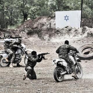 לוחמי "כוח רדואן"