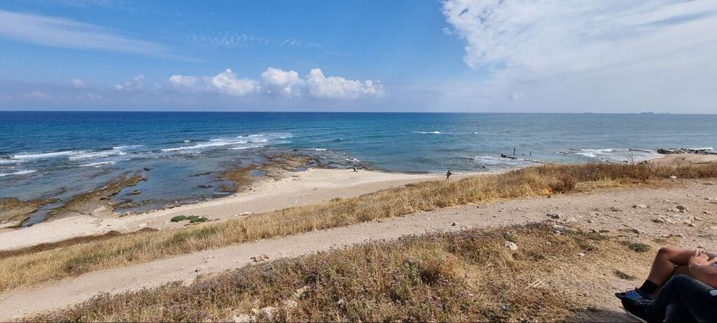 A brief lookout point atop the intriguing archaeological tel with a romantic view (Photo: Assaf Kamar) תל שקמונה