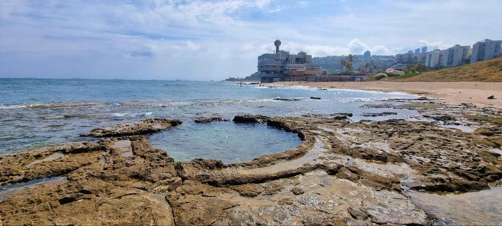 The beach here is truly pristine, in the most natural state possible (Photo: Assaf Kamar) חוף תל שקמונה