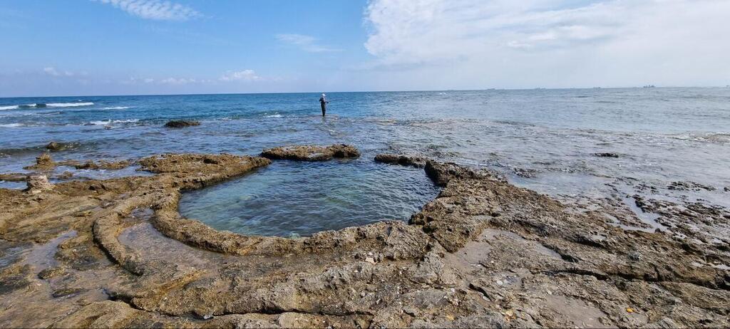 The natural jacuzzi at Tel Shikmona Beach in Haifa (Photo: Assaf Kamar) הג'קוזי של תל שקמונה